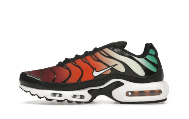 Nike Air Max Plus Rainbow UK 8.5 - RSKICKS