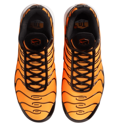 Nike Air Max Plus Sunset - RSKICKS